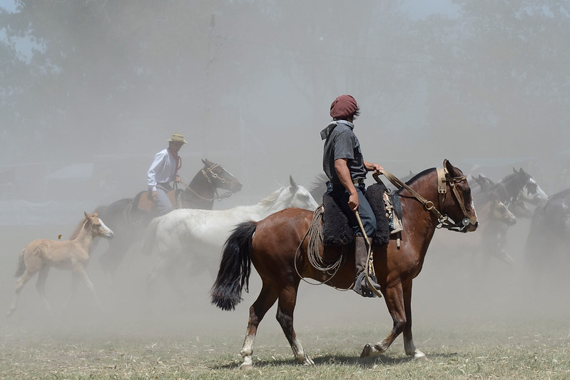 patagonia gaucho 