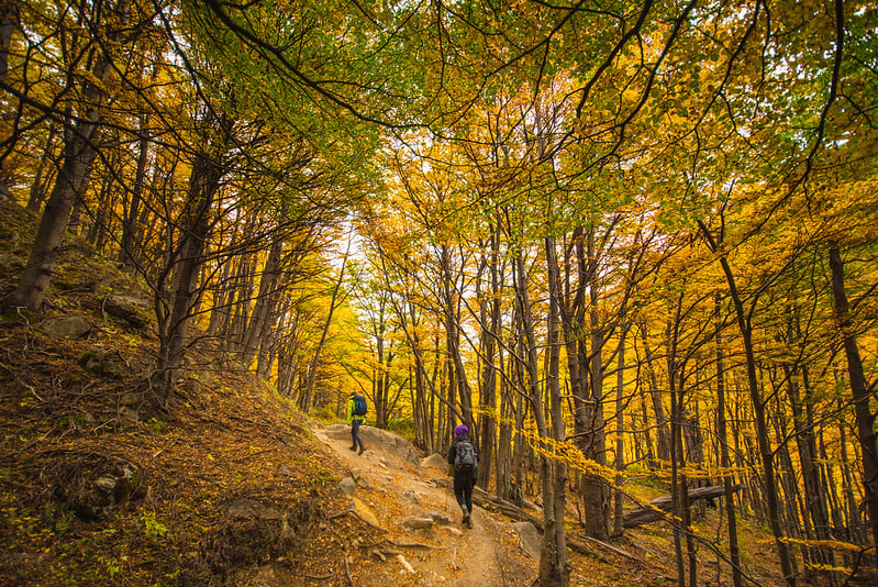 Hiking in Patagonia