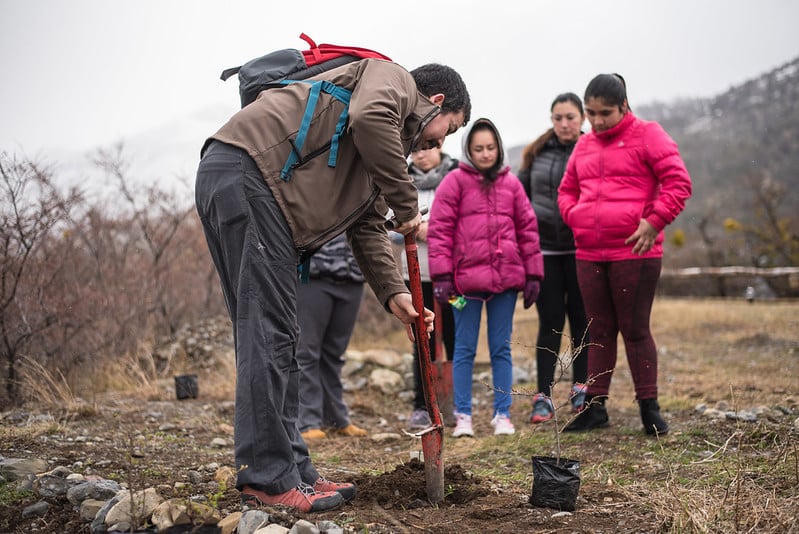 ecocamp planting trees