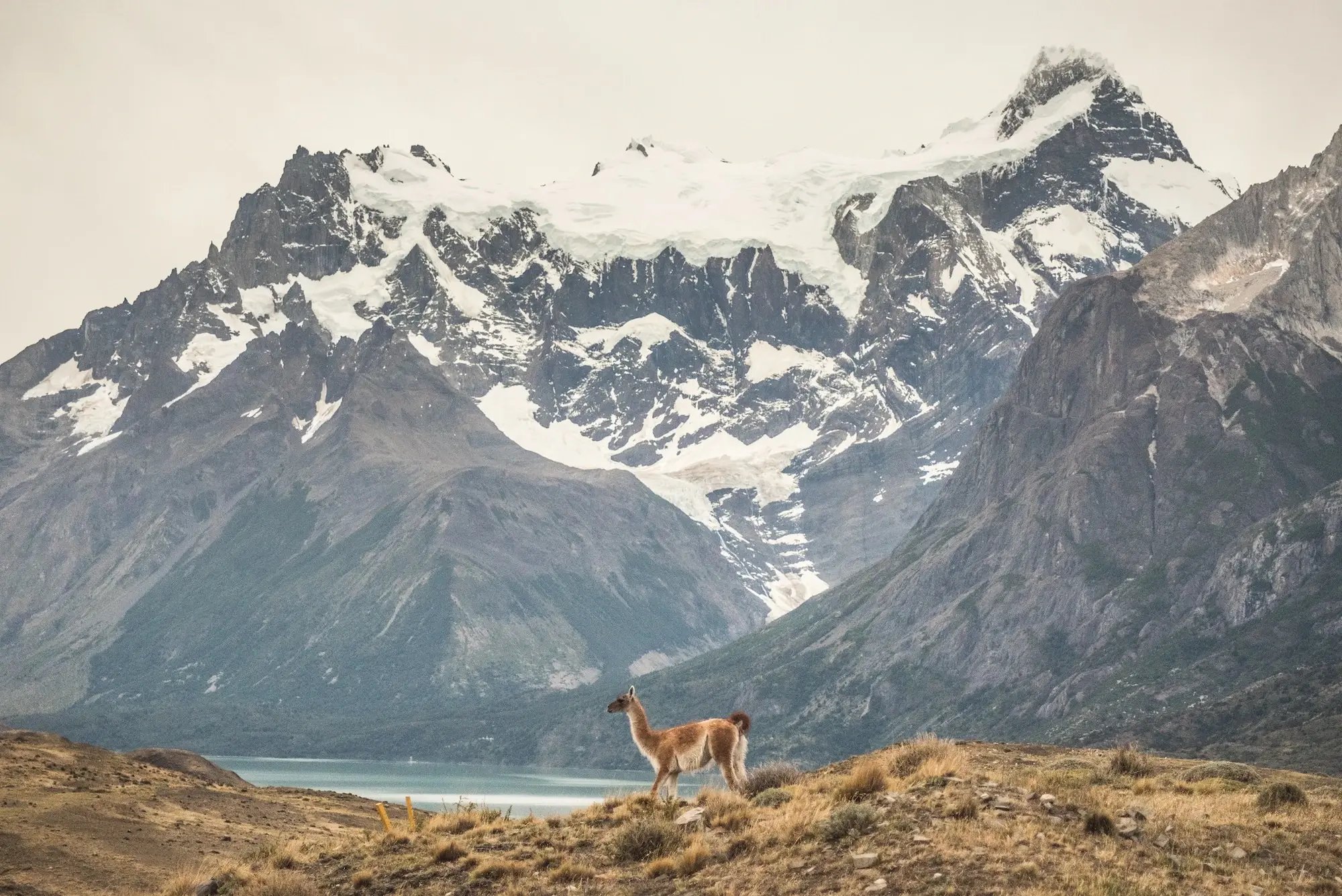 47538539971_981b4b373b_k