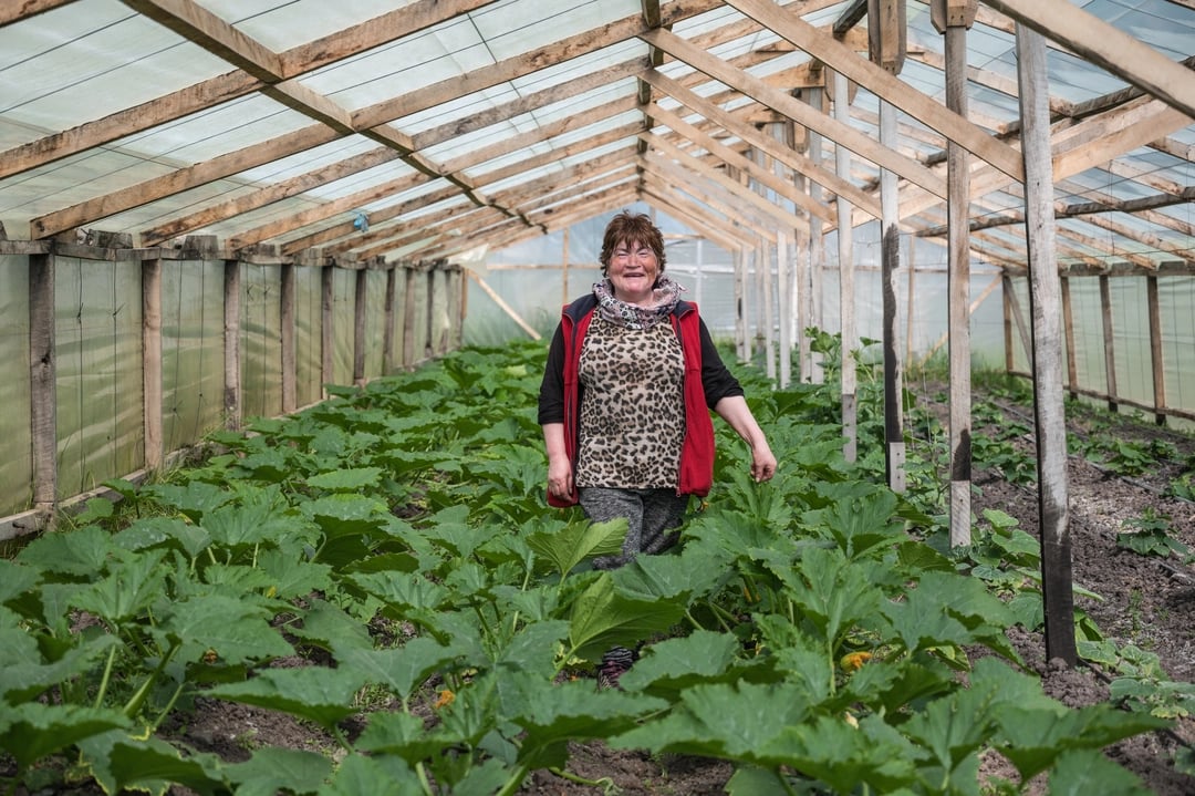 Greenhouse EcoCamp