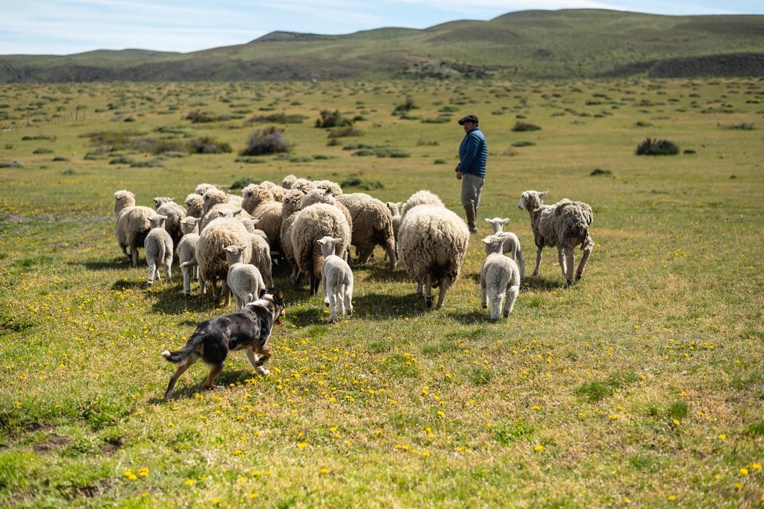 dia de estancia, chilean patagonia