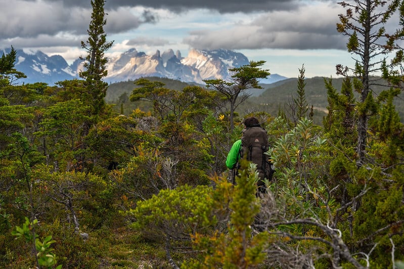 53480686600_ceaeb1f28a_c