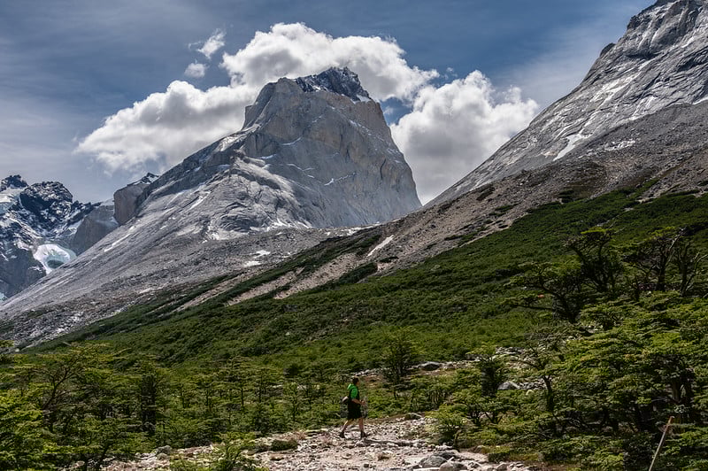 53509287624_d5546334cc_c