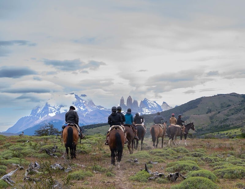 54199990480_d14fef9b9e_c