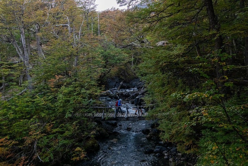 54492239316_74d910ac85_c (1)