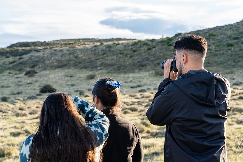 54989005957_cd971763f7_c