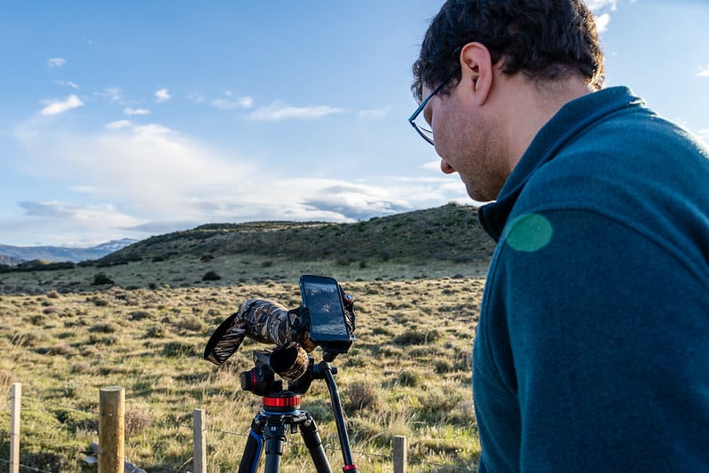 54989006027_78a41b77d9_c