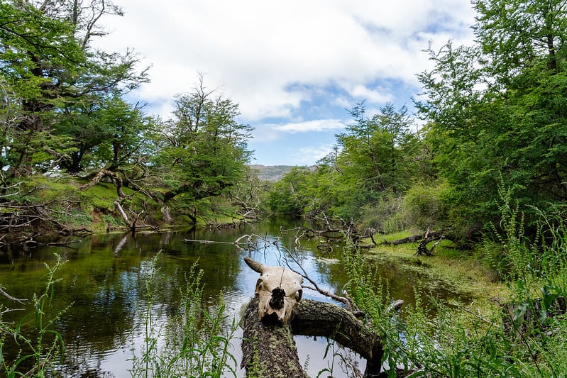 55012678389_aaa6353a7b_c