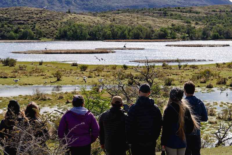 55041939927_8708f2188d_c