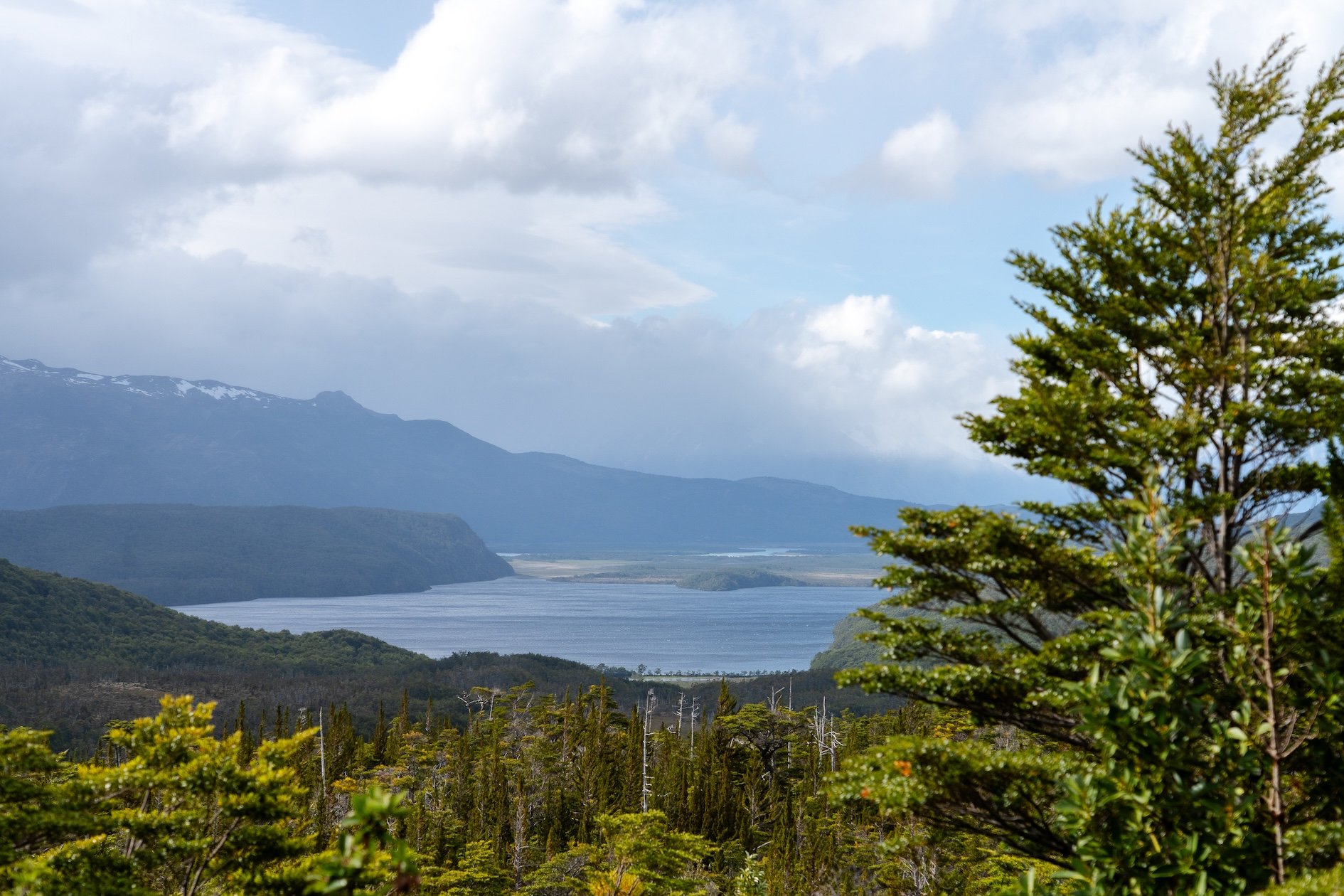 Brush Trek Dia 1-37 copy