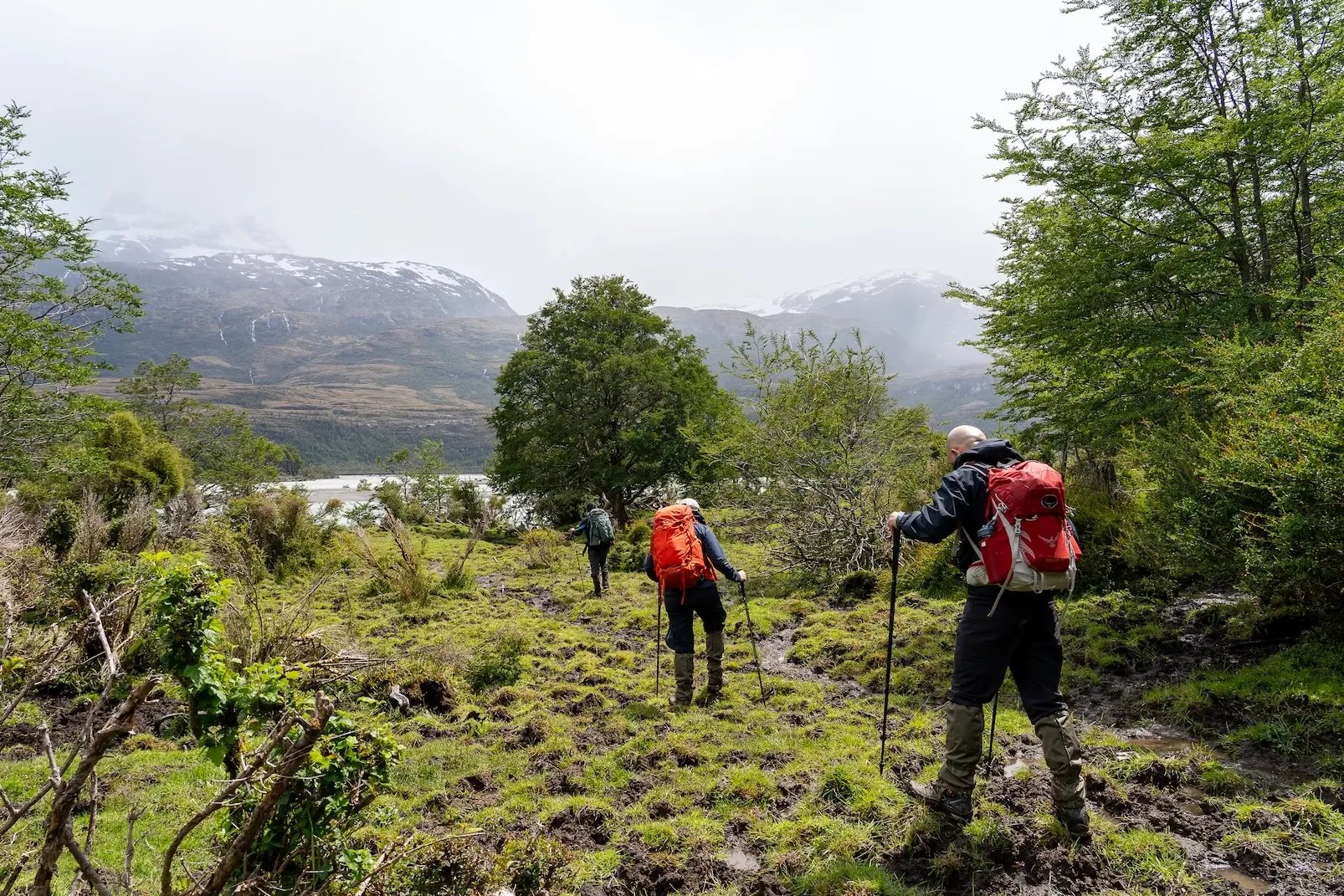 Brush-Trek-Dia-1-23-copy