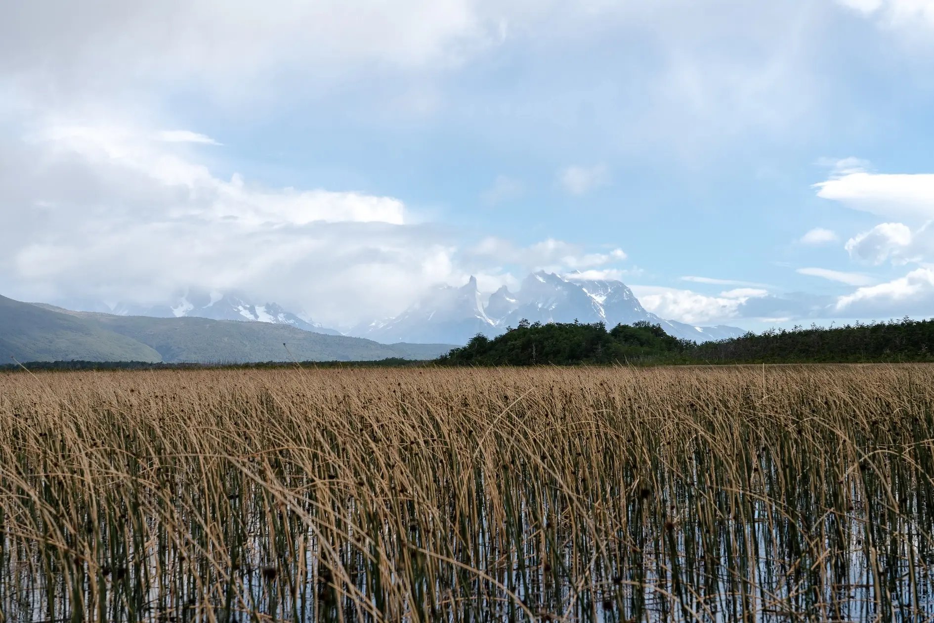 Brush-Trek-Dia-2-2-copy