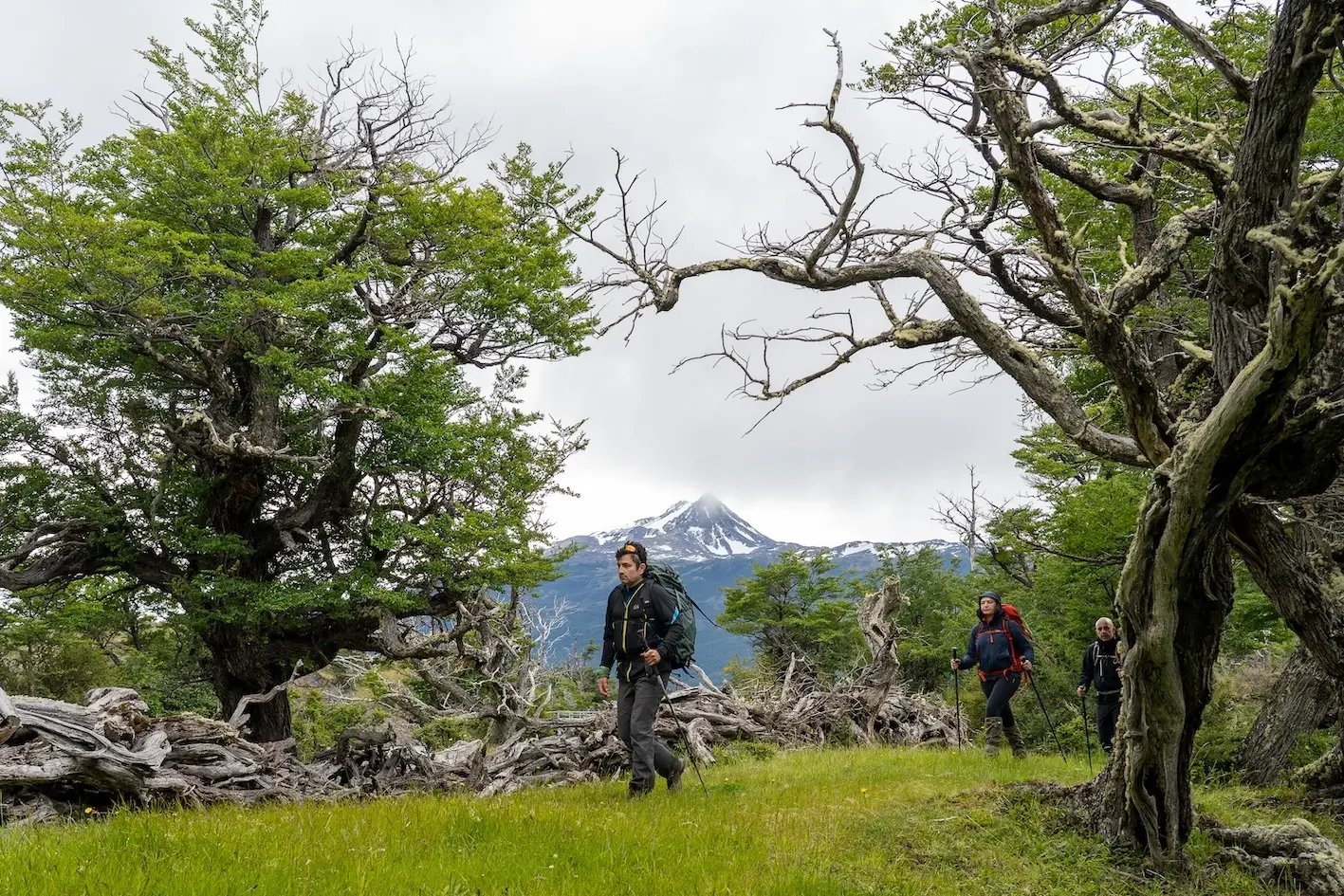 Brush-Trek-Dia-2-6-copy