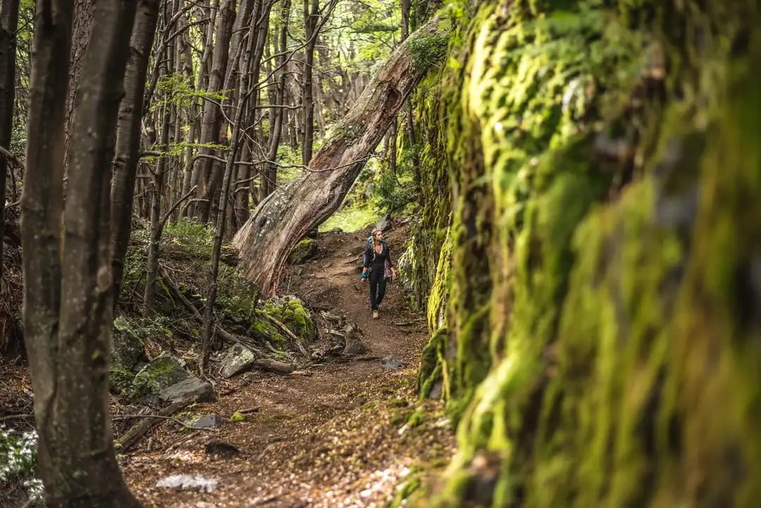 Hiking the Circuit torres del paine