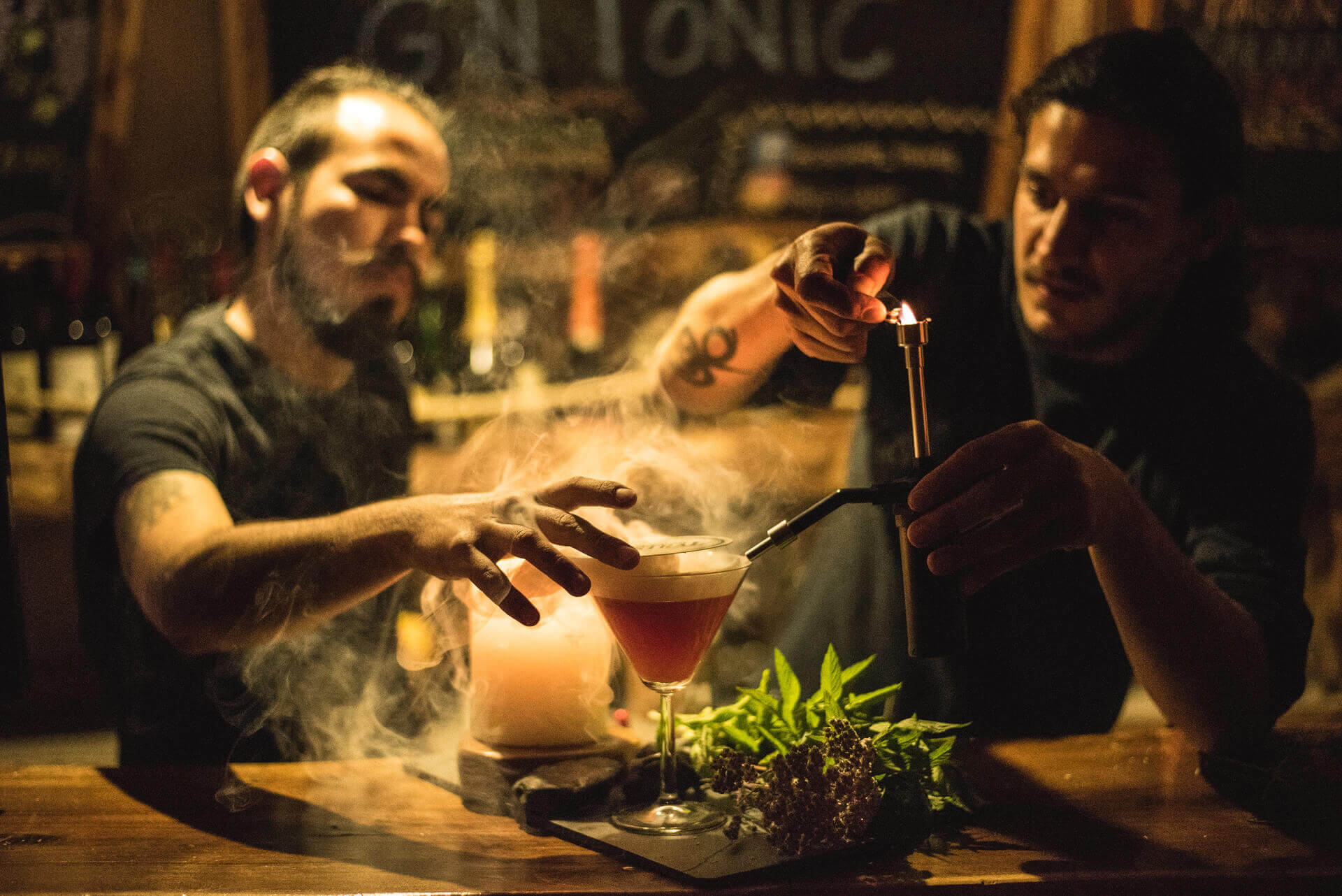 Bar Domo en EcoCamp