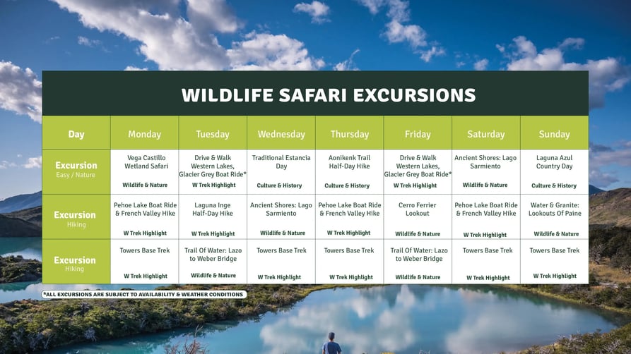 Excursiones-safari-1