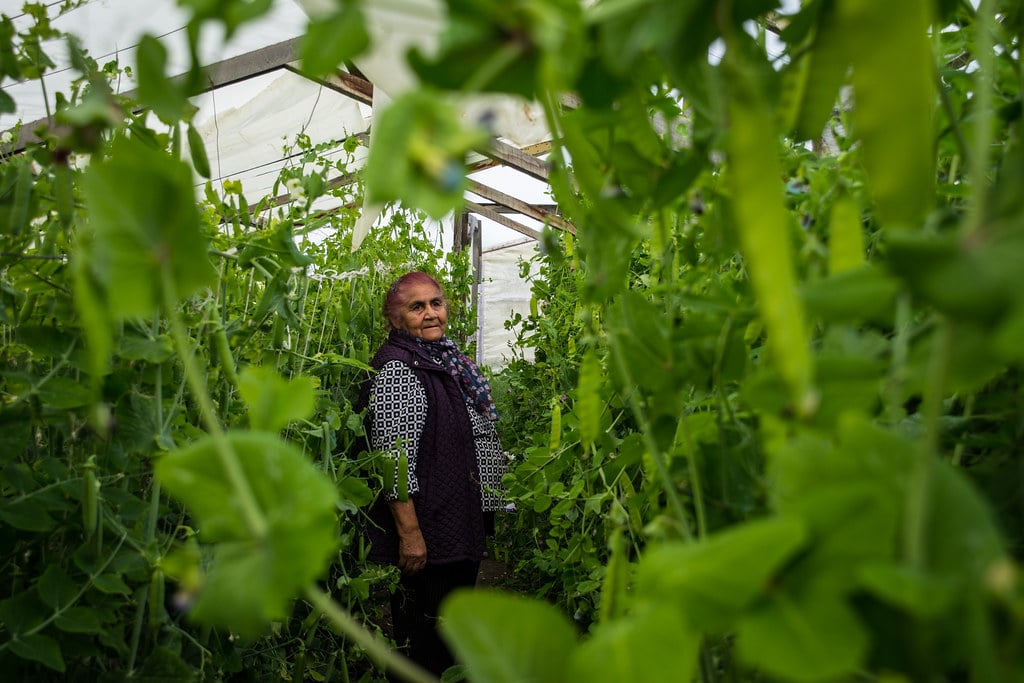 Locally produced vegetables 