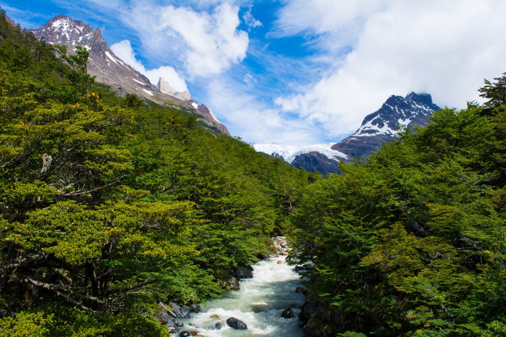 River in Patagonia