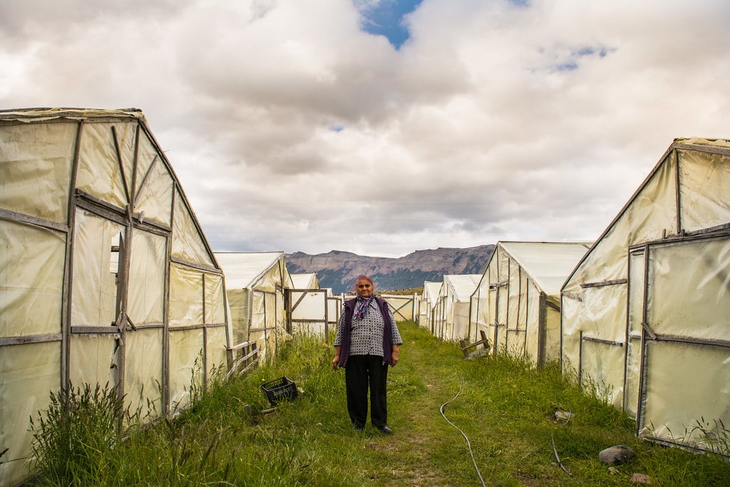 Farm near Puerto Natales 