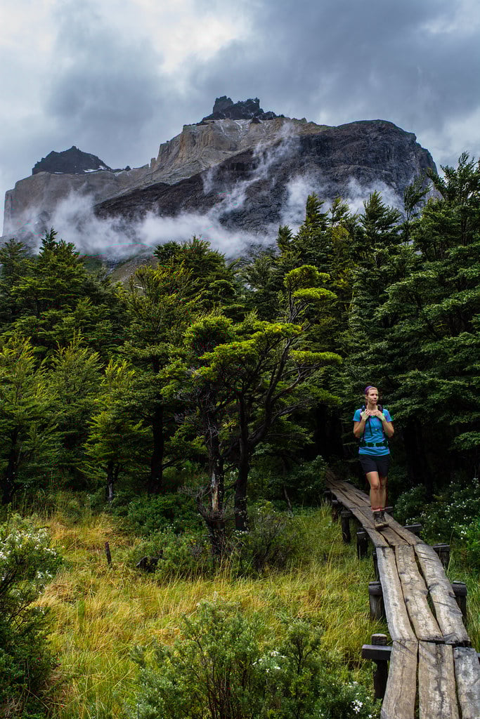 Walking through the lenga forest Patagonia