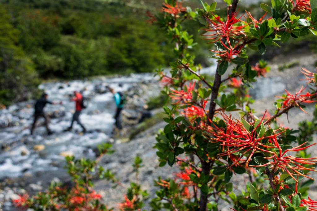 Patagonia Hiking Essentials