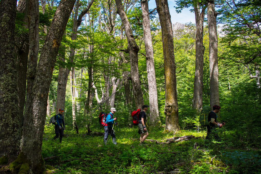 Heading to Perros through the forest