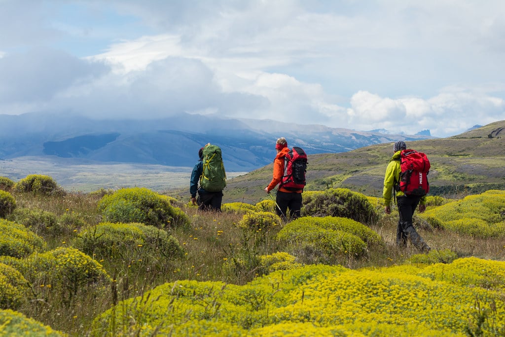 Coming back to EcoCamp