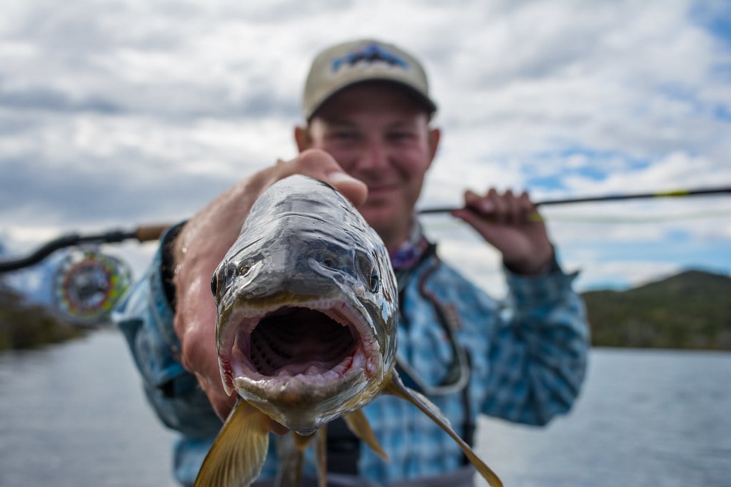 Patagonia Fish
