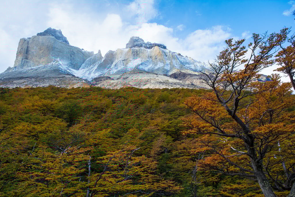 Autumn in Torres del Paine