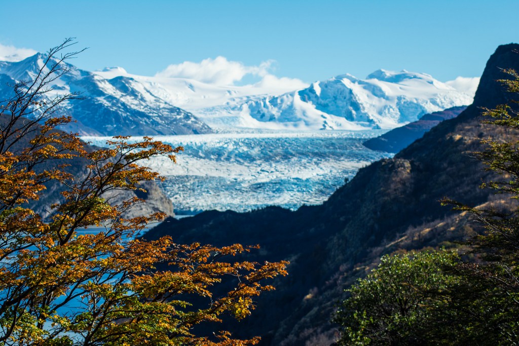 Grey Glacier Patagonia