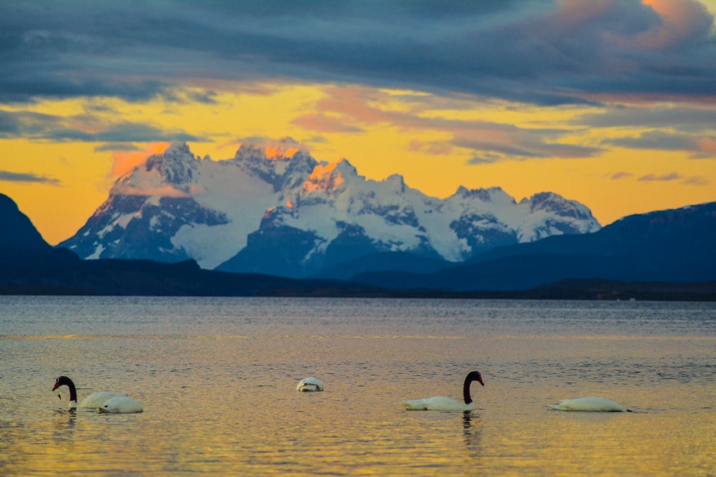 Mt. Balmaceda (and the glacier of the same name) as seen from Puerto Natales