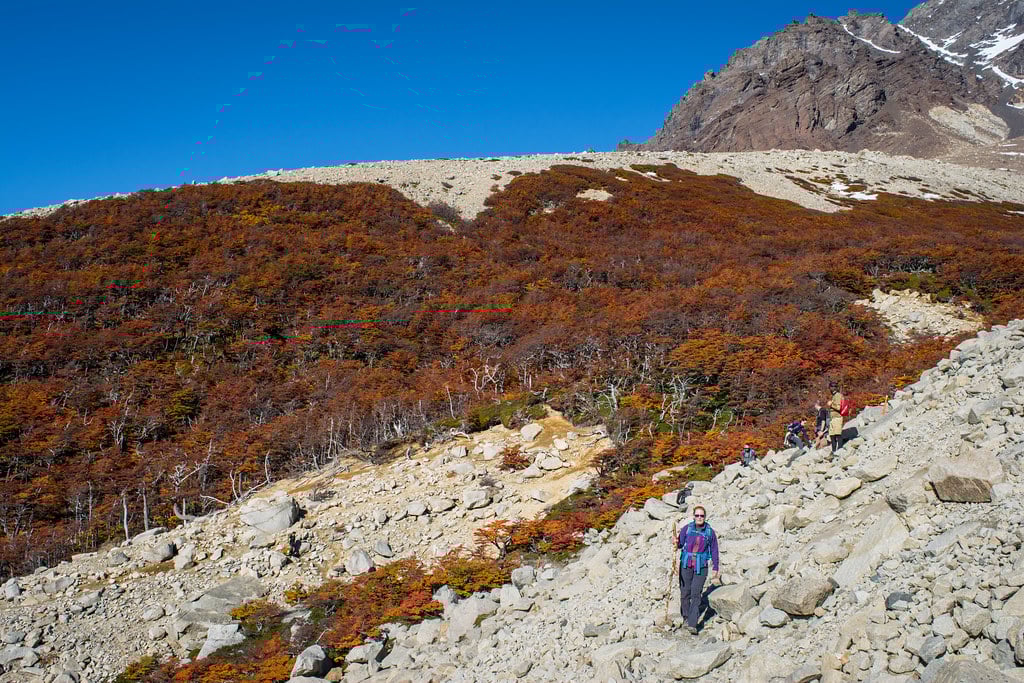 W Trek in Autumn Torres del Paine