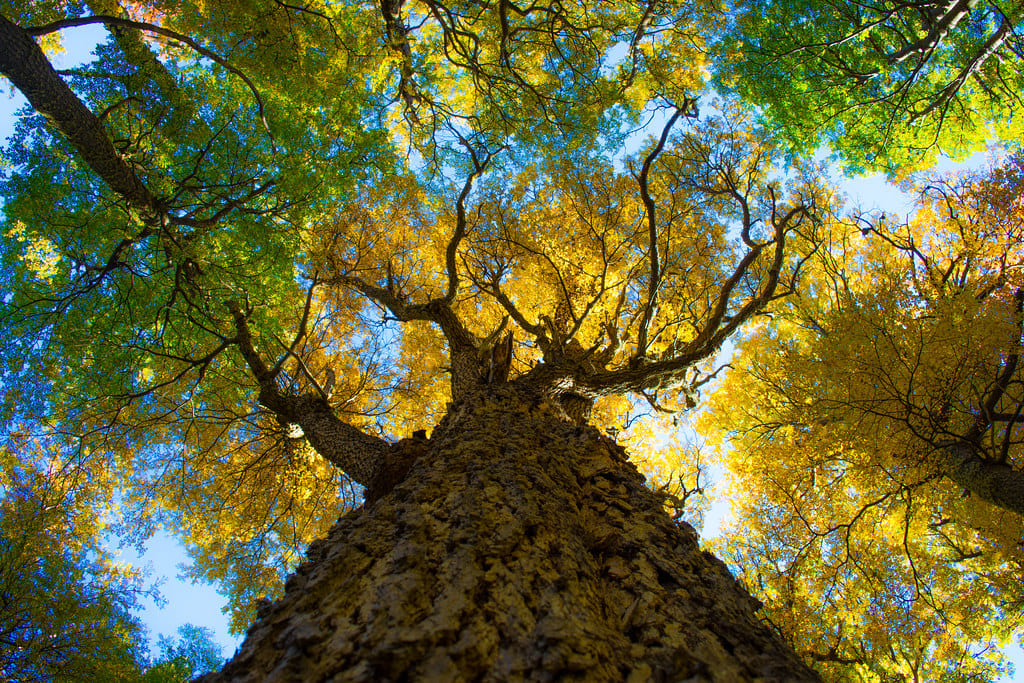 Torres del Paine in Autumn