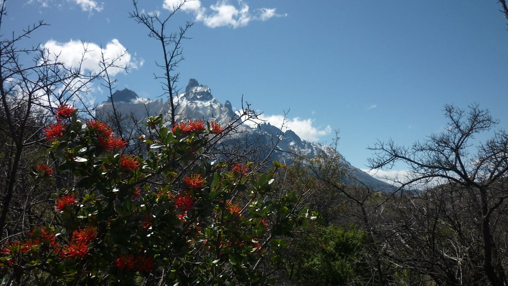 Colors of Patagonia Summer