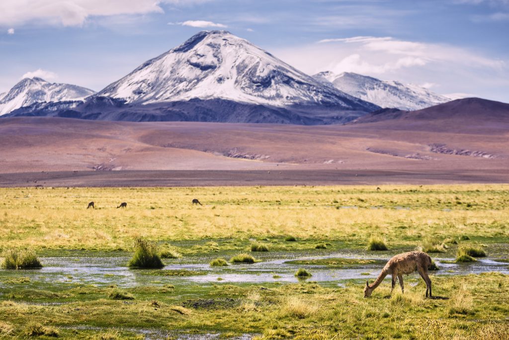Atacama Desert