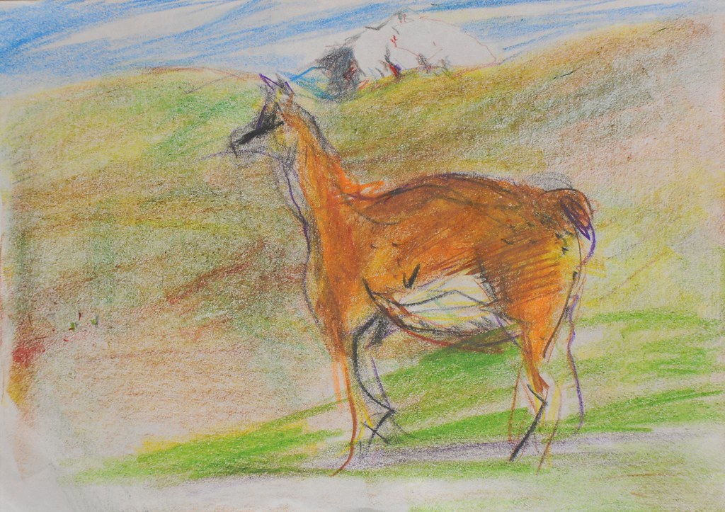 Guanaco  Painting
