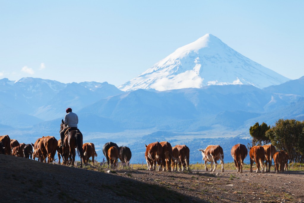 EcoCamp buys directly from local farmers