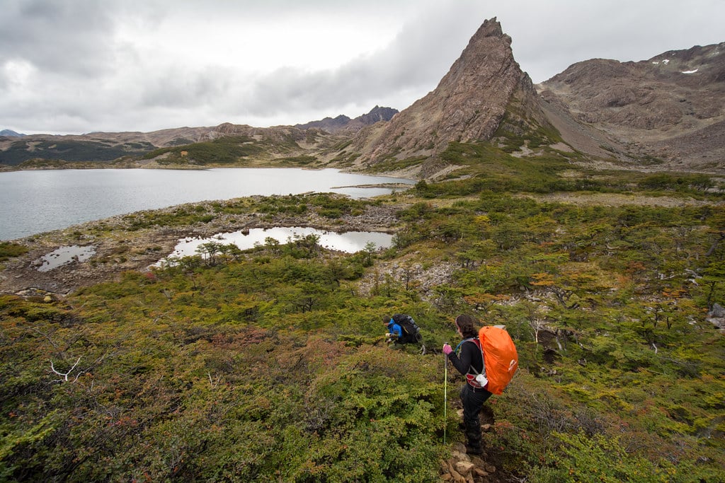 Lenga Forest at Laguna Los Dientes