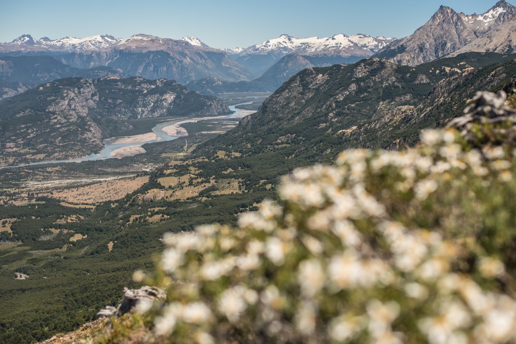 Patagonia View