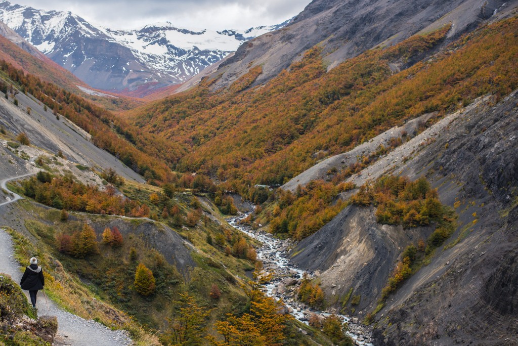 The Valley Patagonia
