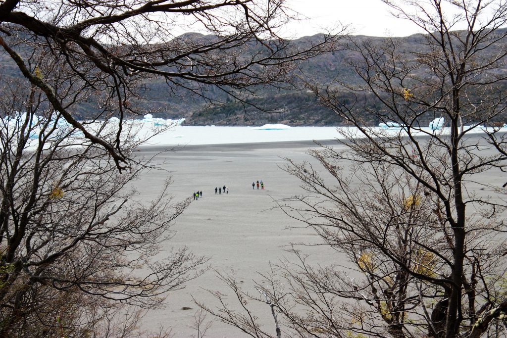 Torres del paine