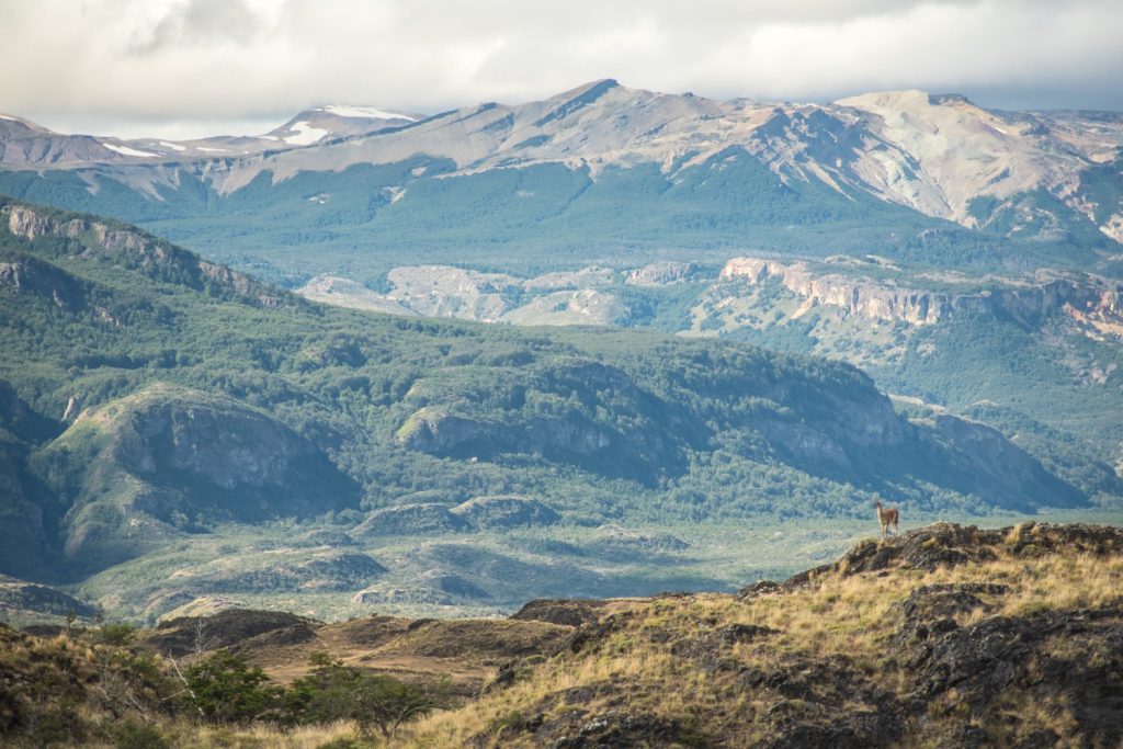 Patagonia National Park 