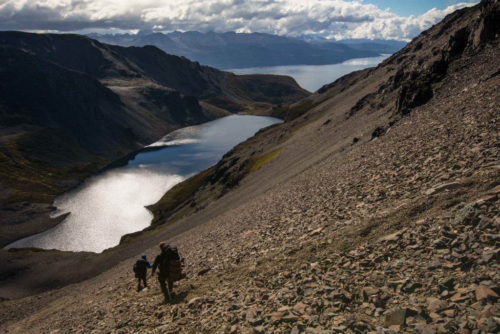 Lagoon Guanaco