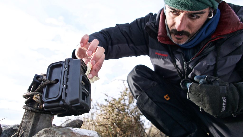 Camera traps Torres del Paine