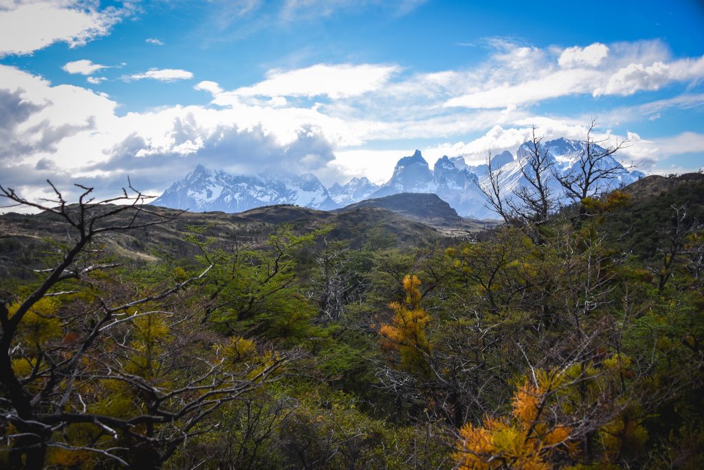 Lazo Weber Patagonia