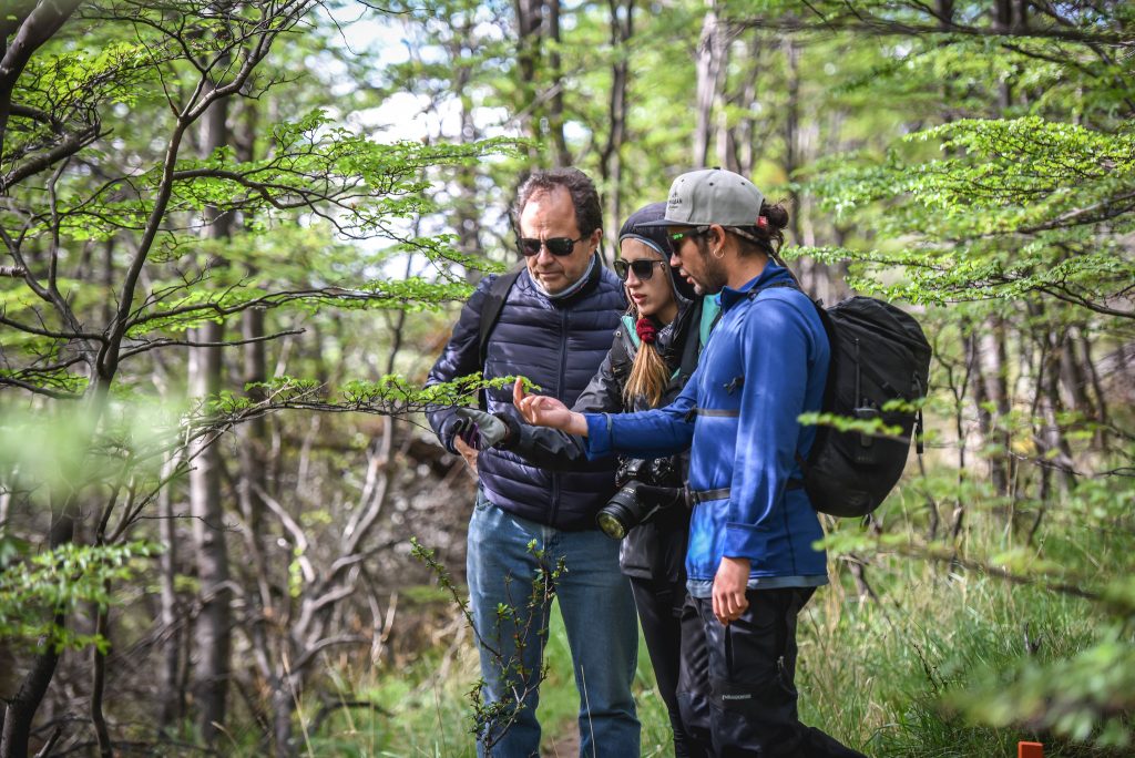Walk in Lazo Weber Patagonia