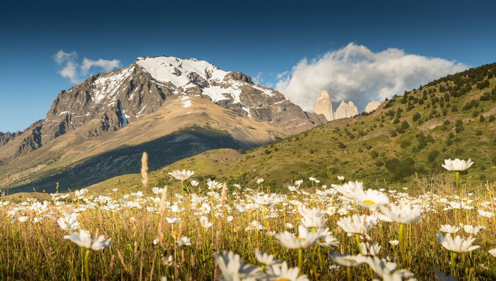 Torres del Paine in Spring