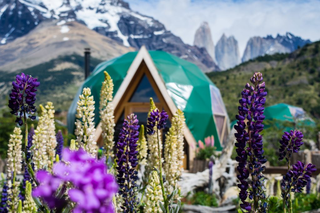 Torres del Paine in Summer