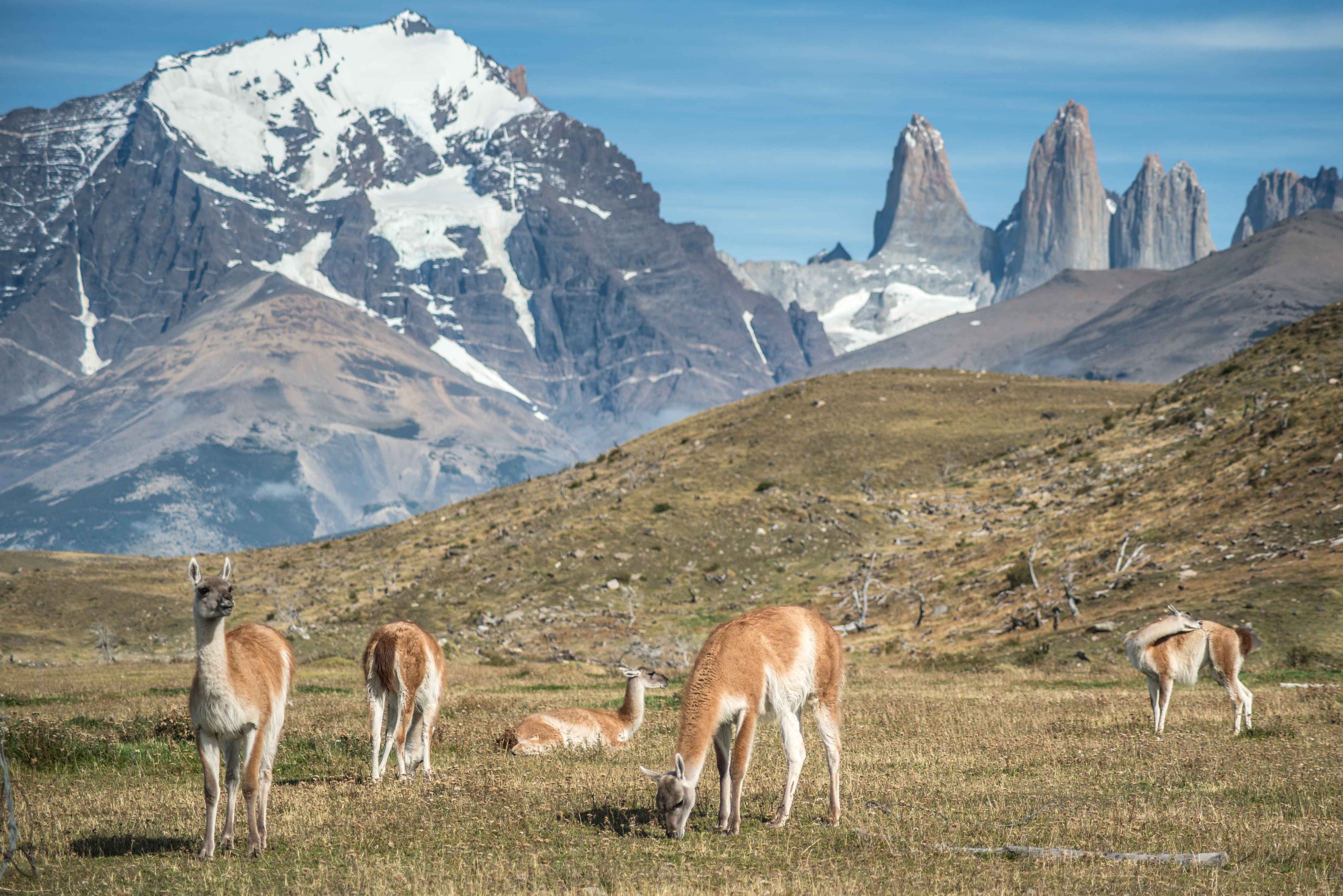 Laguna Azul Patagonia